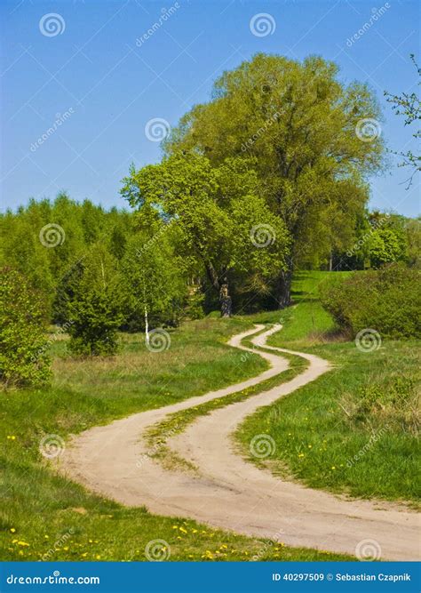Winding Dirt Path Road With Tree Stock Photo Image 40297509