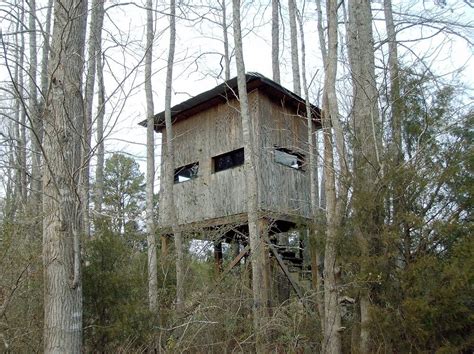 Is There An Ideal Tree Stand Height