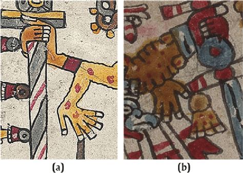 The Flayed Skin And Hanging Hands In The Images Of Xipe Totec A