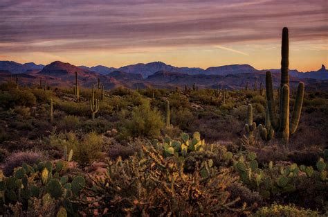 Pink Desert Skies At Sunset Photograph By Saija Lehtonen Fine Art America