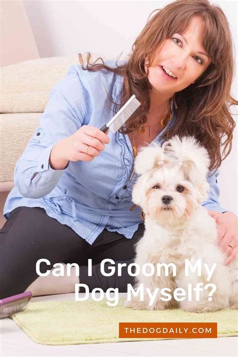 Tips For Grooming Your Dogs Coat Skin Nails And Teeth At Home