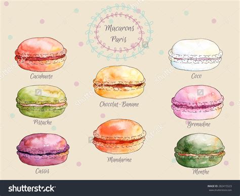 Set Of Watercolor Different Taste French Macaroons Collection Of