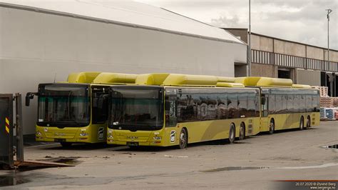 Fotogaleria Transportowa Man Nl Lion S City L Le Cng