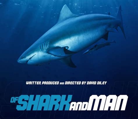 Shark Docu Film Of Shark And Man Now Available To Buy Or Rent