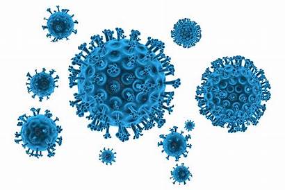 Hepatitis Virus Antiviral Drugs Cdc Influenza Respiratory
