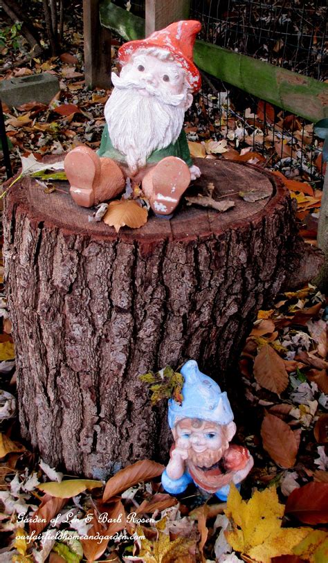 Fall Gnomes Garden Of Len And Barb Rosenheck With Fall These Would