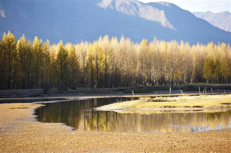 Autumn Scenery In Dagze County Of Tibet 1 Cn