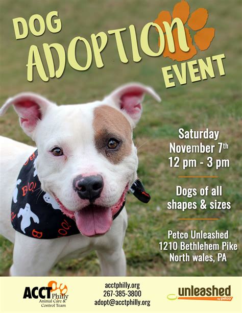 We host several events throughout the year. February Adoption Prices, Promotions and Events | ACCT Philly