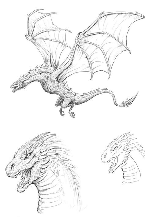 No fairytale illustration is complete without a dragon. How to Draw a Dragon, Step By Step and Easy to Follow ...