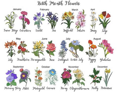 Flowers For Each Month Birth Month Flowers Perennial Plants