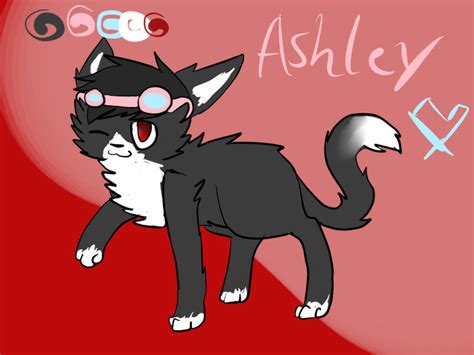 Ashley Kitty By Kozafire On Deviantart