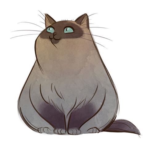 Fluffy Cat Drawing At Getdrawings Free Download