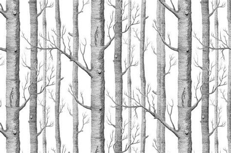 Murals Wallpaper Illustrated Birch Tree Forest Birch