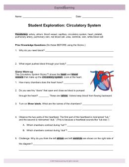There are various body components and organs that are part of the human digestive system. Student Exploration Sheet: Growing Plants