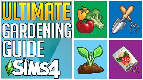 My Sims 4 Gardening Skill Guide Has Everything You Should Know Sims