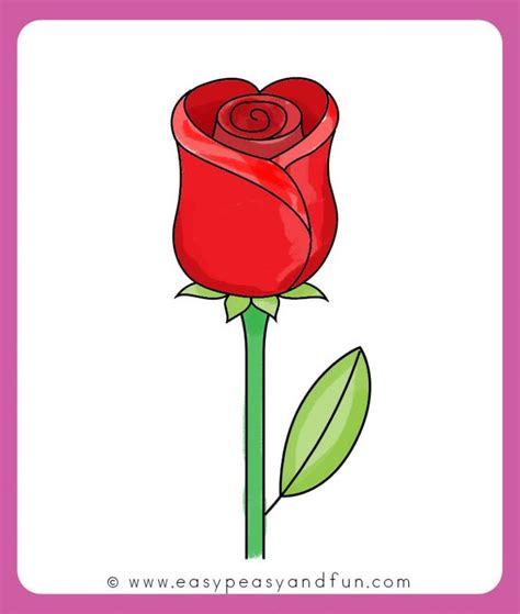 How To Draw A Rose Easy Step By Step For Beginners And Kids Rose