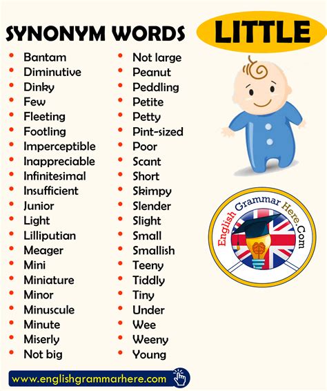 Synonym Words Little English Vocabulary Bantam Diminutive Dinky Few