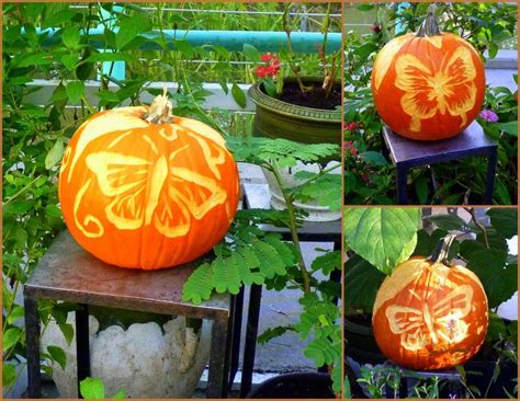 Just in time for halloween—free pumpkin carving stencils! Pumpkin Projects: Surface Carving - Birds and Blooms