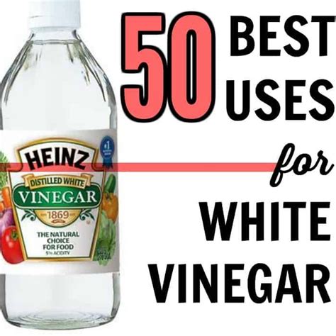 50 Best Uses For White Vinegar Uses For White Vinegar Green Cleaning