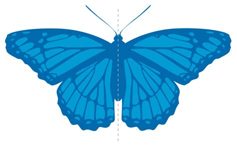 For bilateral symmetry in mathematics, see reflection symmetry. File:Simetria-bilateria.svg - Wikimedia Commons