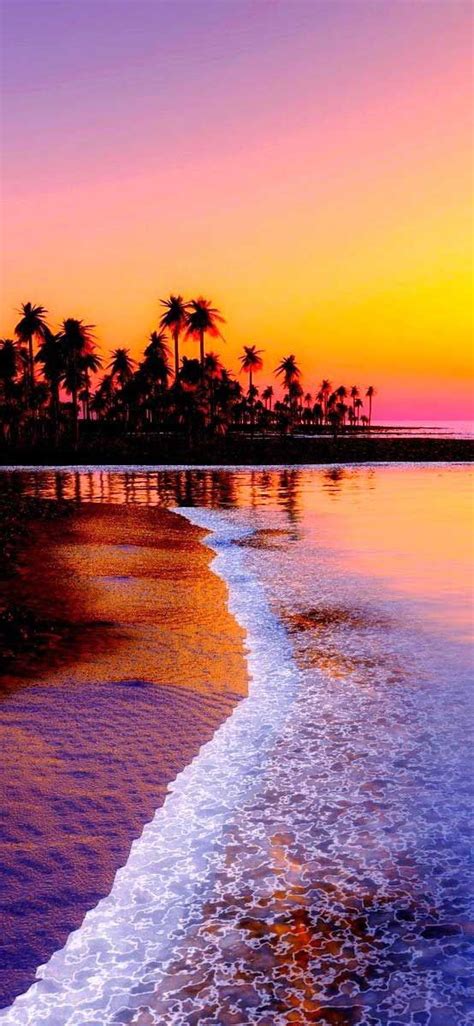 Iphone X Wallpaper Wallpaper Beach Tropics Sea Sand Palm Trees Sunset