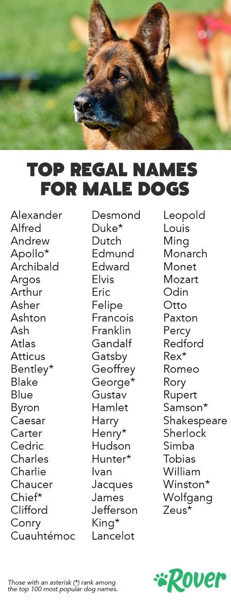 10 Best Dog Names Images In 2020 Dog Names Girl And Dog Best Dog Names