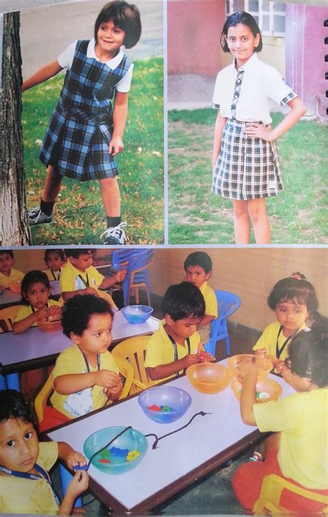 Kataria Silk Summer Kids School Uniform Fabric At Best Price In Surat