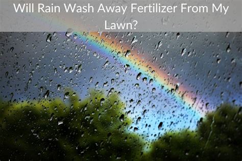 Will Rain Wash Away Fertilizer From My Lawn Just Yardz