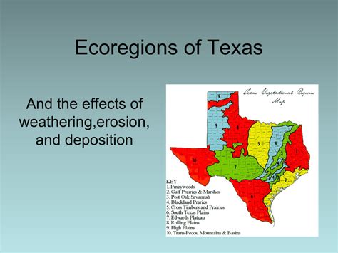 10 Ecoregions Of Texas
