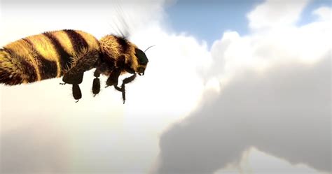 How Do Honey Bees Use Pheromones