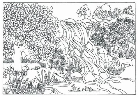 Nature in the backyard then teach him the importance of trees with this coloring page. Pin on My favorite coloring page book ideas