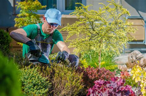A Skilled Landscaping Contractor In Crawfordville Fl 32327