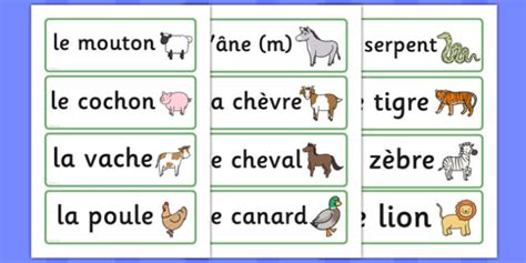 Animal Word Cards French Animals French Francais Mfl Word Card