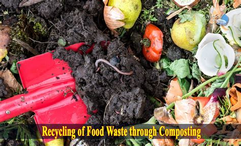 What Is Recycling Of Food Waste Through Composting