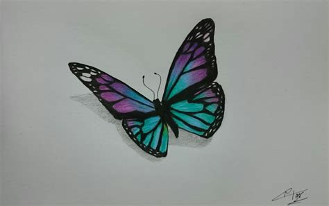 Pencil Drawing Butterflies At Getdrawings Free Download