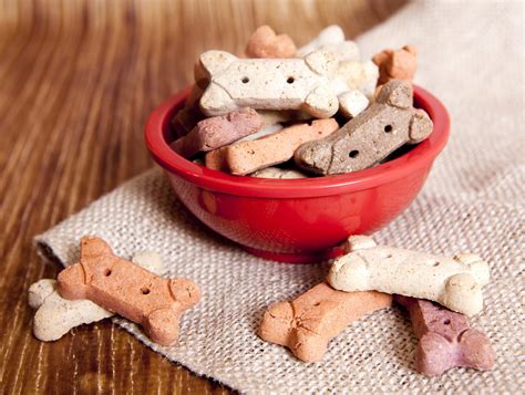 16 Healthy Dog Treat Recipes