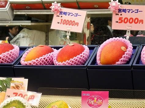 The largest fruits with the highest sugar content and the most vibrant red skin are sold as taiyo no tamogo (egg of the sun). World's record: Pair of Japanese mangoes ("Eggs of the Sun ...