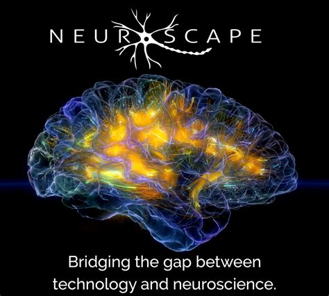 Technology Neuroscape Neuroscience Technology Brain Science