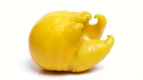 An Ad Campaign Makes Ugly Fruits Beautiful Mental Floss