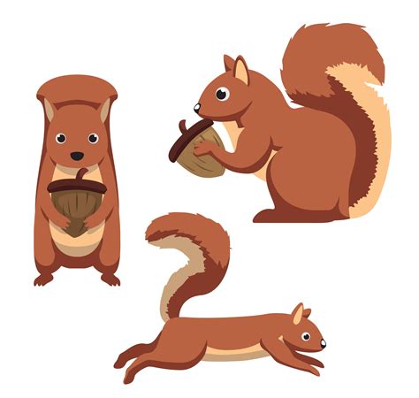 Common Squirrels Species Living In The Us Pest Wiki