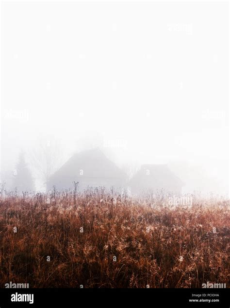 Alone House On Foggy Meadow Stock Photo Alamy