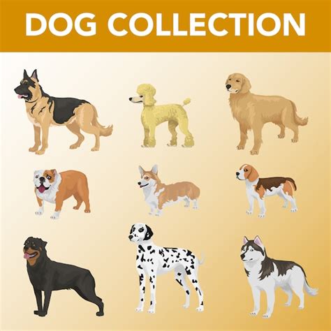 Premium Vector Set Of Dog Breeds Collection