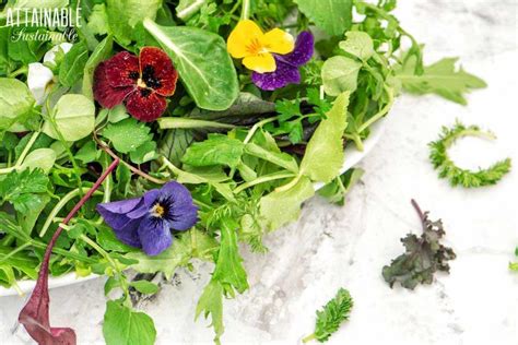 Adding Edible Flowers To Your Salads And Garden
