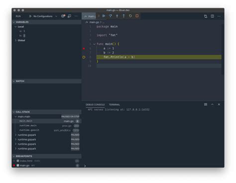 Setting Up Debugging In Go With Vs Code Dev Community