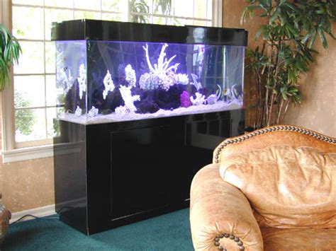 Although the glass canopy is compatible with most fish tanks, it is important to note that there are different aquarium manufactures. 150 Gallon Marine Fish Tank, Aquarium Design, Marine ...