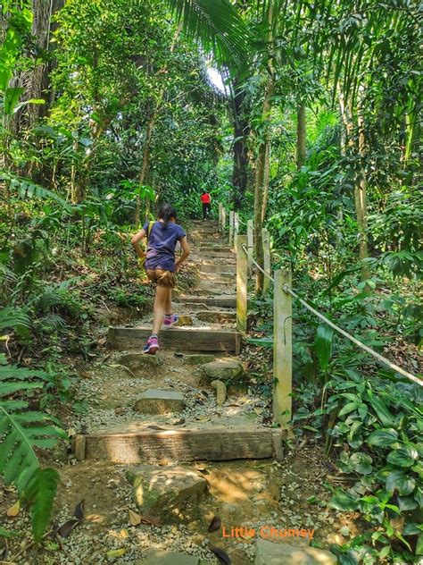 Visit taman tugu forest trail for an invigorating and educational family hike amid lush jungle vegetation in the heart of the city. Taman Tugu Forest Trail | Little Chumsy's Blog