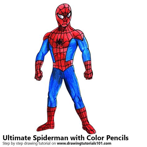 Ultimate Spider Man Colored Pencils Drawing Ultimate Spider Man With