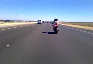Streetbike Thong Girl Popping Wheelie Down Highway Video Ebaum S World