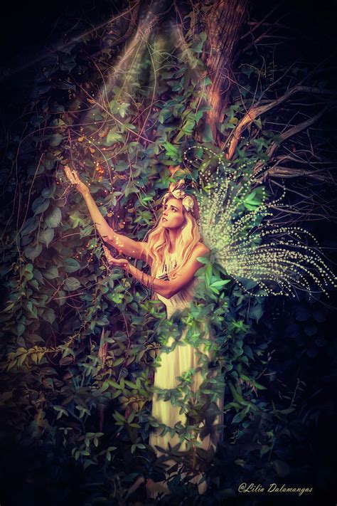 Fairy In The Woods Photograph By Lilia D Fine Art America