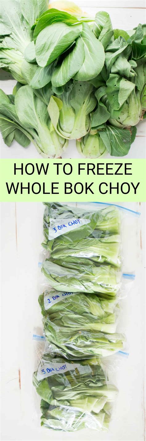 How To Store Bok Choy Bok Choy Kootu Stirringmyspicysoul Bok Choy